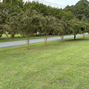 Photo #38 of 36101 UPSHUR NECK RD, QUINBY, VA 1.0 acres