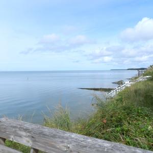 Photo #14 of 16210 SMITH BEACH RD, EASTVILLE, VA 0.2 acres