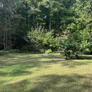 Photo #14 of 26491 MASON RD, BLOXOM, VA 9.5 acres