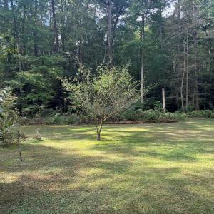 Photo #15 of 26491 MASON RD, BLOXOM, VA 9.5 acres