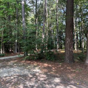 Photo #16 of 26491 MASON RD, BLOXOM, VA 9.5 acres