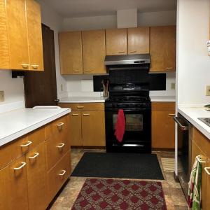 Photo #21 of 26491 MASON RD, BLOXOM, VA 9.5 acres