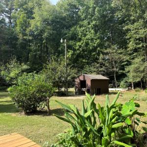 Photo #6 of 26491 MASON RD, BLOXOM, VA 9.5 acres
