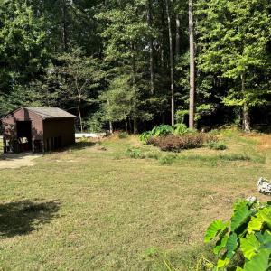 Photo #7 of 26491 MASON RD, BLOXOM, VA 9.5 acres
