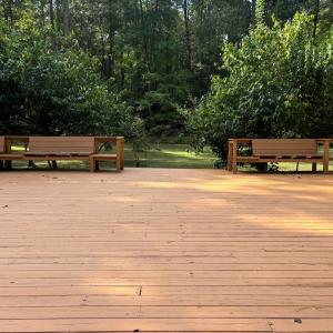Photo #8 of 26491 MASON RD, BLOXOM, VA 9.5 acres
