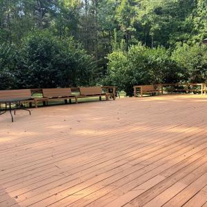 Photo #9 of 26491 MASON RD, BLOXOM, VA 9.5 acres