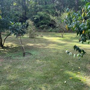 Photo #12 of 26491 MASON RD, BLOXOM, VA 9.5 acres