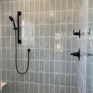 Primary Shower