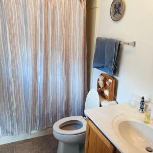Photo #13 of 16377 HOPELAND WAY, BLOXOM, VA 3.7 acres