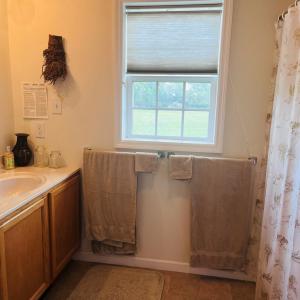 Photo #15 of 16377 HOPELAND WAY, BLOXOM, VA 3.7 acres