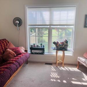 Photo #21 of 16377 HOPELAND WAY, BLOXOM, VA 3.7 acres