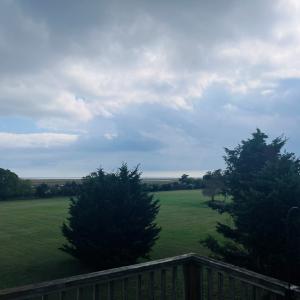 Photo #28 of 16377 HOPELAND WAY, BLOXOM, VA 3.7 acres