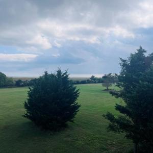 Photo #30 of 16377 HOPELAND WAY, BLOXOM, VA 3.7 acres