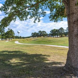 Photo #33 of 3377 NAVIGATOR DR, GREENBACKVILLE, VA 0.2 acres