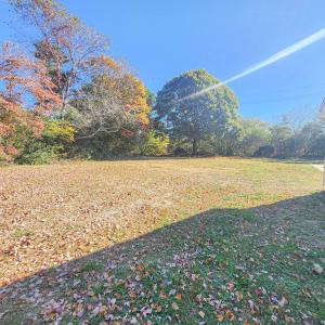 Photo #24 of 5065 COBBS STATION RD, CAPE CHARLES, VA 0.8 acres