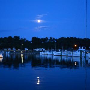 Photo #34 of 5065 COBBS STATION RD, CAPE CHARLES, VA 0.8 acres