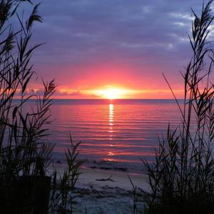 Photo #38 of 5065 COBBS STATION RD, CAPE CHARLES, VA 0.5 acres