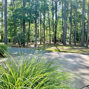 Photo #27 of 22170 BARNES CIR, PARKSLEY, VA 1.2 acres