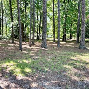 Photo #29 of 22170 BARNES CIR, PARKSLEY, VA 1.2 acres