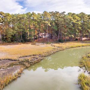 Photo #36 of 22170 BARNES CIR, PARKSLEY, VA 1.2 acres