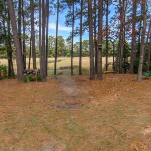 Photo #39 of 22170 BARNES CIR, PARKSLEY, VA 1.2 acres