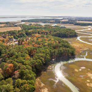 Photo #7 of 22170 BARNES CIR, PARKSLEY, VA 1.2 acres