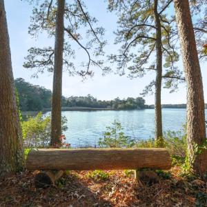 Photo #47 of 10388 HIGHLAND CT, EXMORE, VA 1.4 acres