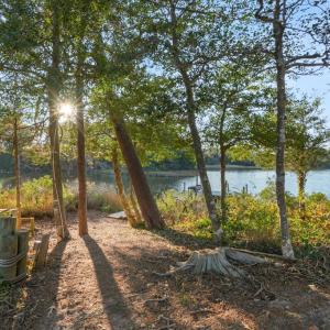 Photo #48 of 10388 HIGHLAND CT, EXMORE, VA 1.4 acres