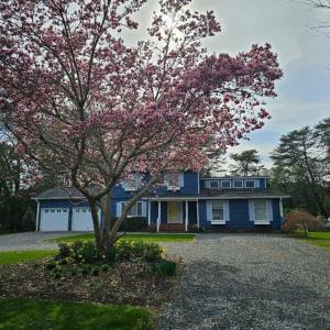 Photo #55 of 10388 HIGHLAND CT, EXMORE, VA 1.4 acres