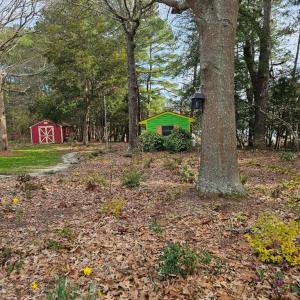 Photo #7 of 10388 HIGHLAND CT, EXMORE, VA 1.4 acres