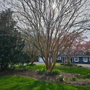 Photo #8 of 10388 HIGHLAND CT, EXMORE, VA 1.4 acres
