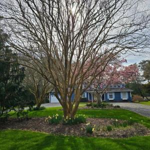Photo #2 of 10388 HIGHLAND CT, EXMORE, VA 1.4 acres