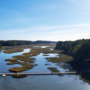 Photo #94 of 25135 MOUNT OREGON DR, ACCOMAC, VA 1.0 acres