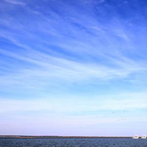 Photo #15 of 2383 - 1 MAIN ST, CHINCOTEAGUE, VA 0.3 acres
