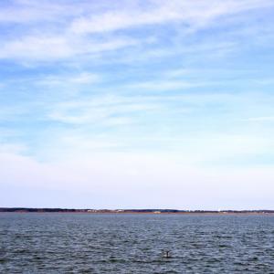 Photo #16 of 2383 - 1 MAIN ST, CHINCOTEAGUE, VA 0.3 acres