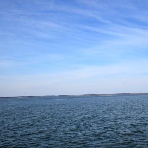 Photo #17 of 2383 - 1 MAIN ST, CHINCOTEAGUE, VA 0.3 acres