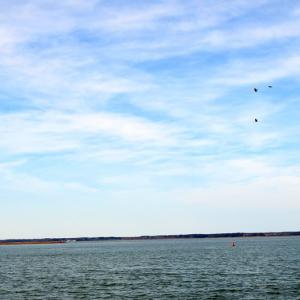 Photo #20 of 2383 - 1 MAIN ST, CHINCOTEAGUE, VA 0.3 acres