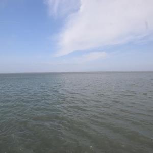 Photo #34 of 2383 - 1 MAIN ST, CHINCOTEAGUE, VA 0.3 acres