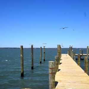 Photo #7 of 2383 - 1 MAIN ST, CHINCOTEAGUE, VA 0.3 acres