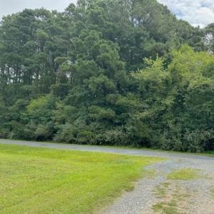 Photo #2 of 227 SMUGGLERS WAY, GREENBACKVILLE, VA 9,750.0 acres