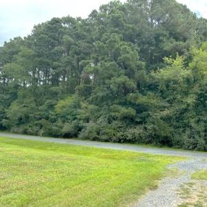 Photo #3 of 227 SMUGGLERS WAY, GREENBACKVILLE, VA 9,750.0 acres