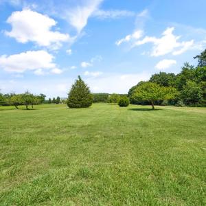 Photo #5 of 26385 SEA BREEZE DR, ACCOMAC, VA 3.6 acres