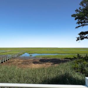 Photo #54 of 26385 SEA BREEZE DR, ACCOMAC, VA 3.6 acres