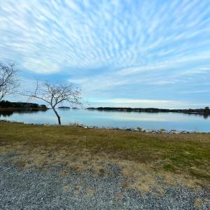 Photo #56 of 28099 HARBORTON RD, HARBORTON, VA 1.4 acres