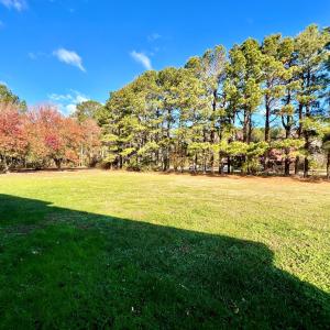 Photo #36 of 18095 MAPPSBURG RD, PAINTER, VA 1.0 acres