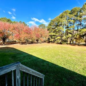 Photo #39 of 18095 MAPPSBURG RD, PAINTER, VA 1.0 acres