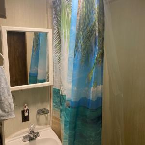 Photo #4 of 8281 BAY FRONT LN, CHINCOTEAGUE, VA 0.1 acres