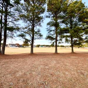 Photo #8 of 3102 CUTTER CT, GREENBACKVILLE, VA 0.2 acres
