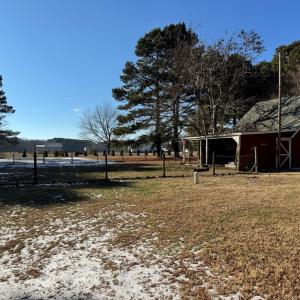 Photo #11 of 9358 BRANCH LN, NASSAWADOX, VA 5.0 acres