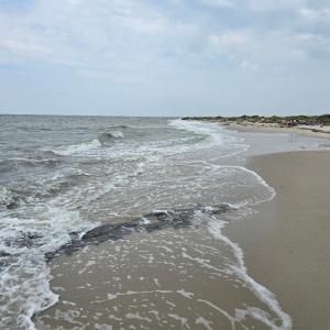 Photo #3 of 16192 MAIN RIDGE RD, TANGIER, VA 0.2 acres